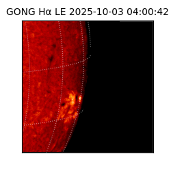 gong - 2025-10-03T04:00:42