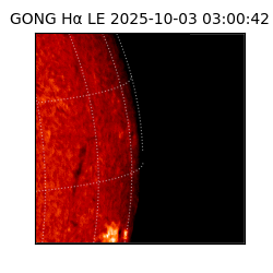 gong - 2025-10-03T03:00:42