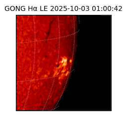 gong - 2025-10-03T01:00:42