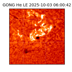 gong - 2025-10-03T06:00:42