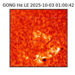 gong - 2025-10-03T01:00:42