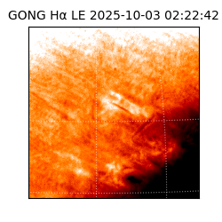 gong - 2025-10-03T02:22:42