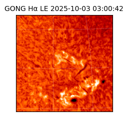 gong - 2025-10-03T03:00:42