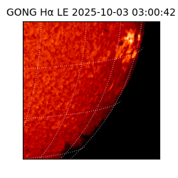 gong - 2025-10-03T03:00:42