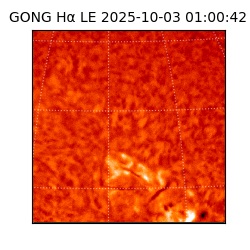 gong - 2025-10-03T01:00:42