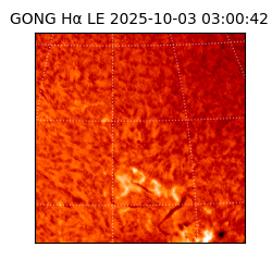 gong - 2025-10-03T03:00:42