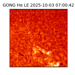 gong - 2025-10-03T07:00:42