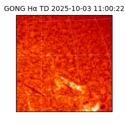 gong - 2025-10-03T11:00:22