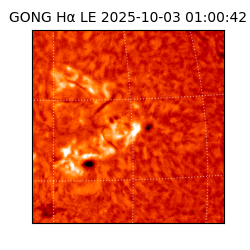 gong - 2025-10-03T01:00:42