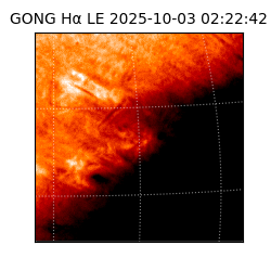gong - 2025-10-03T02:22:42