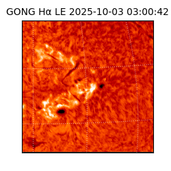 gong - 2025-10-03T03:00:42