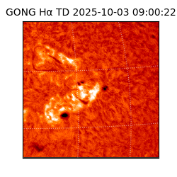 gong - 2025-10-03T09:00:22