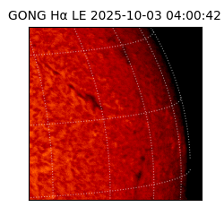 gong - 2025-10-03T04:00:42
