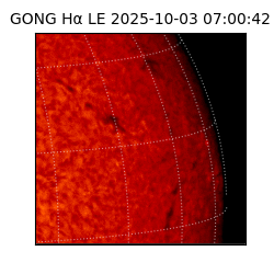 gong - 2025-10-03T07:00:42