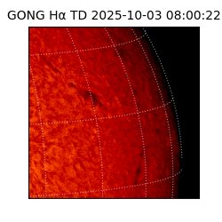 gong - 2025-10-03T08:00:22