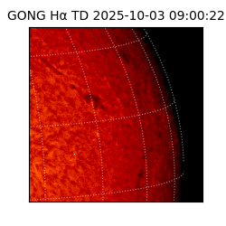gong - 2025-10-03T09:00:22