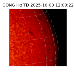 gong - 2025-10-03T12:00:22
