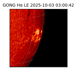 gong - 2025-10-03T03:00:42