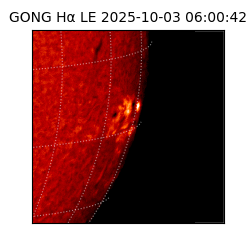 gong - 2025-10-03T06:00:42