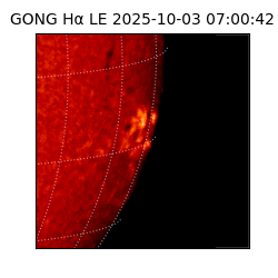 gong - 2025-10-03T07:00:42