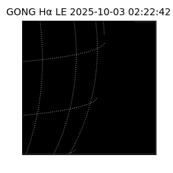gong - 2025-10-03T02:22:42