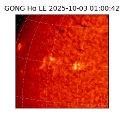 gong - 2025-10-03T01:00:42