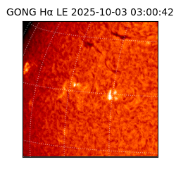 gong - 2025-10-03T03:00:42