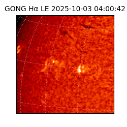 gong - 2025-10-03T04:00:42