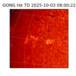 gong - 2025-10-03T08:00:22
