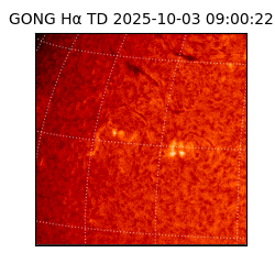 gong - 2025-10-03T09:00:22