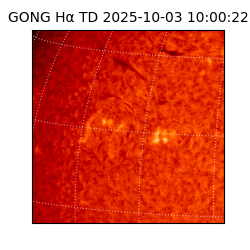 gong - 2025-10-03T10:00:22