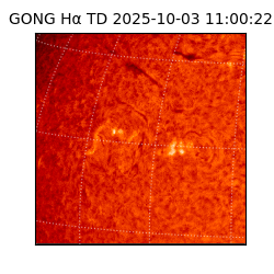 gong - 2025-10-03T11:00:22