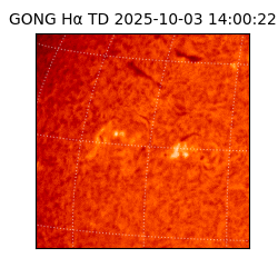 gong - 2025-10-03T14:00:22