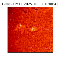 gong - 2025-10-03T01:00:42