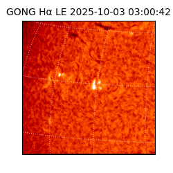 gong - 2025-10-03T03:00:42