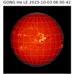 gong - 2025-10-03T06:00:42