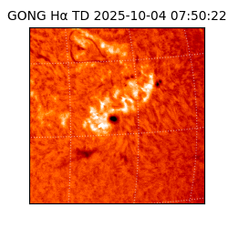 gong - 2025-10-04T07:50:22