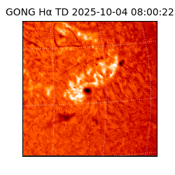 gong - 2025-10-04T08:00:22