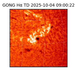 gong - 2025-10-04T09:00:22