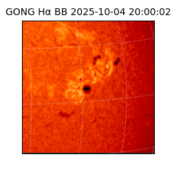 gong - 2025-10-04T20:00:02