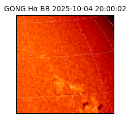 gong - 2025-10-04T20:00:02