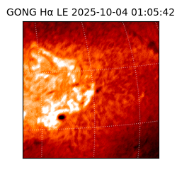 gong - 2025-10-04T01:05:42
