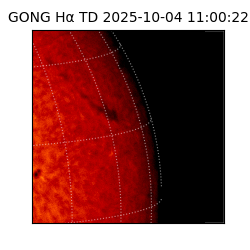 gong - 2025-10-04T11:00:22