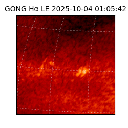 gong - 2025-10-04T01:05:42