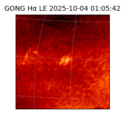 gong - 2025-10-04T01:05:42