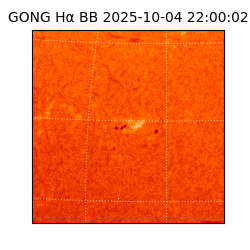 gong - 2025-10-04T22:00:02