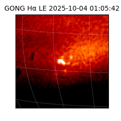 gong - 2025-10-04T01:05:42