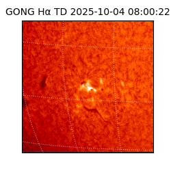 gong - 2025-10-04T08:00:22