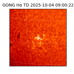 gong - 2025-10-04T09:00:22