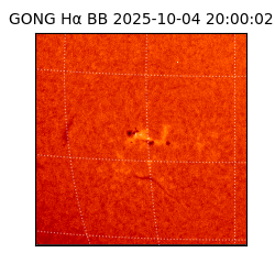 gong - 2025-10-04T20:00:02